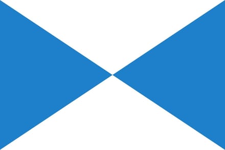 Vlag Halle 100x150cm