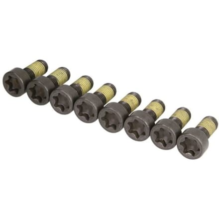 Schroevenset vliegwiel SACHS 1874 000 058
