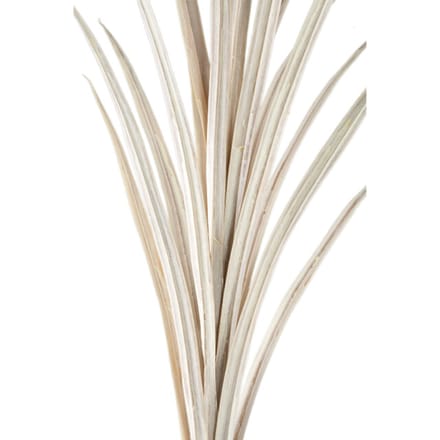PTMD Kunstplant Yucca - 76x70x121 cm - Polyester - Creme