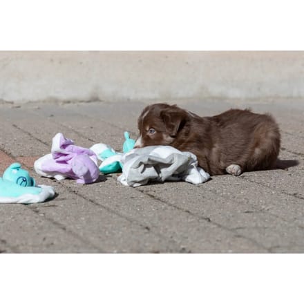 Trixie Junior Snuggler 20 × 20 cm assorted colours
