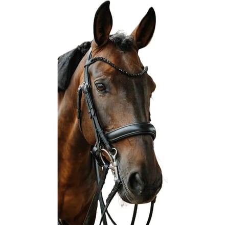 Gecombineerd hoofdstel met neusriem Norton Onyx