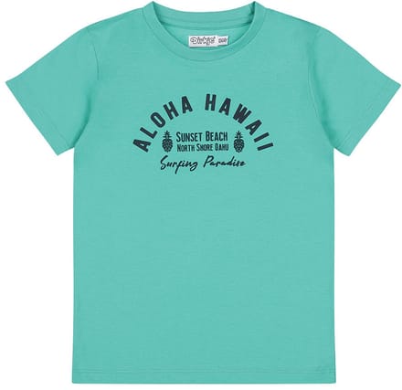 Dirkje Limited Edition T-shirt Aqua green