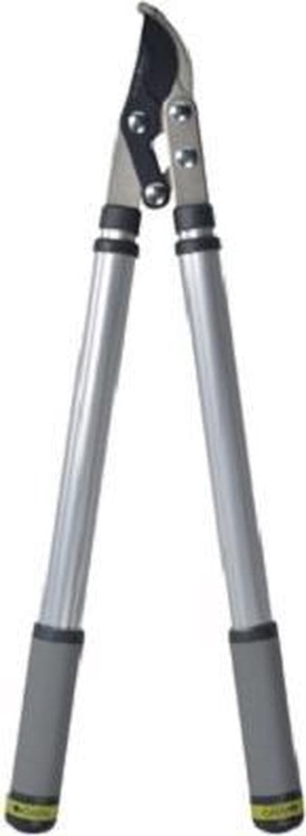Burgon & Ball - RHS telescopische takkenschaar