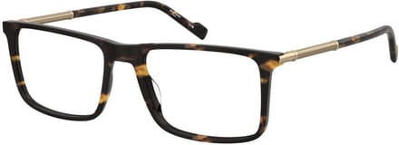 Pierre Cardin P.C. 6291 Havana 58/18/150 MAN Brilmonturen
