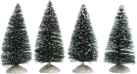 Denneboom 10 cm groen