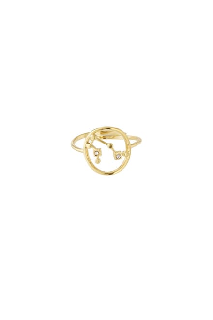 12 zodiac-ringen - Goudkleur