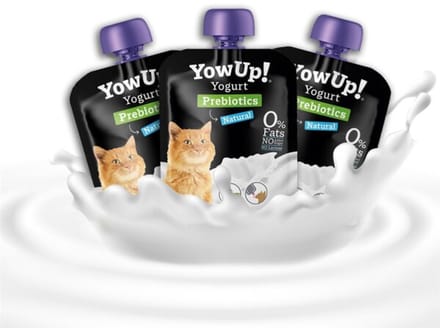 YowUp! Prebiotics - Kattenyoghurt Multipack - Met Zalm & Prebiotica - Ondersteunt Spijsvertering - 3 x 85g