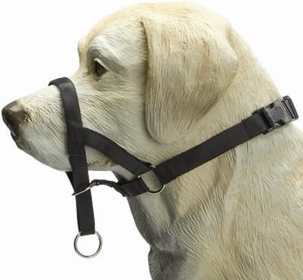 Beeztees Dog Control - Halsband Hond - Zwart - M - Snuitomtrek 32 cm