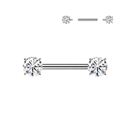 Piercing titanium 2prong 1.6x16 - zilver - LMPiercings