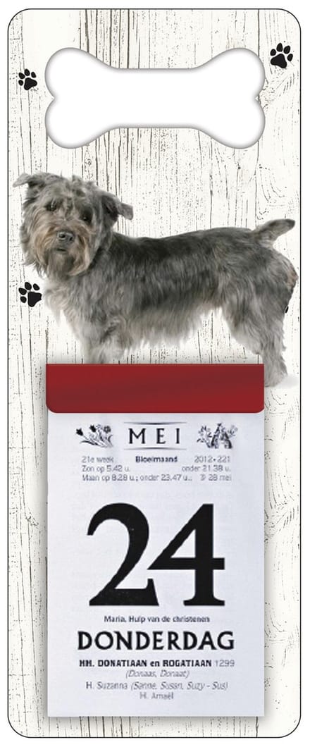 Scheurkalender 2027 Hond: Imaal Terrier