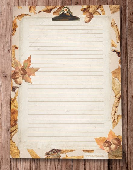 Briefpapier - 24 vellen A4 formaat - Leaves - Meer Leuks - Postpapier Blaadjes / Herfst