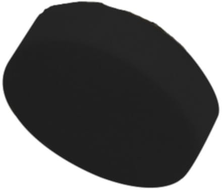 Carpoint Polijstspons Zwart 180x50mm