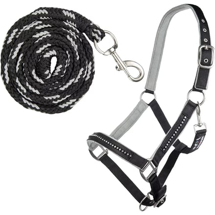 Halster voor paard met musketon HKM