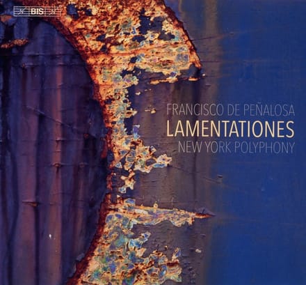 New York Polyphony, Geoffrey Williams, Steven Caldicott Wilson - Lamentationes (SACD)