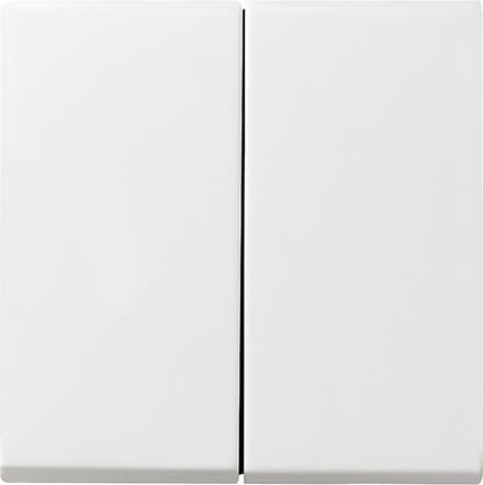Gira Systeem 55 Besturingselement/Centrale plaat Schakelmateriaal - 029527 - E29DU