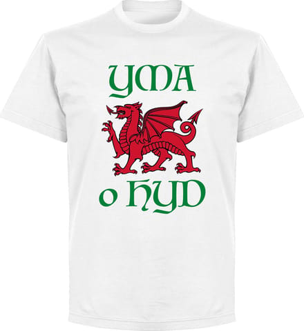 Wales Yma O Hyd T-Shirt - Wit - XS