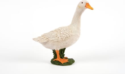 witte Eend