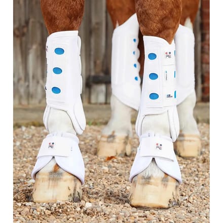 Voorlaarzen voor paarden Premier Equine Air Cooled Original Eventing