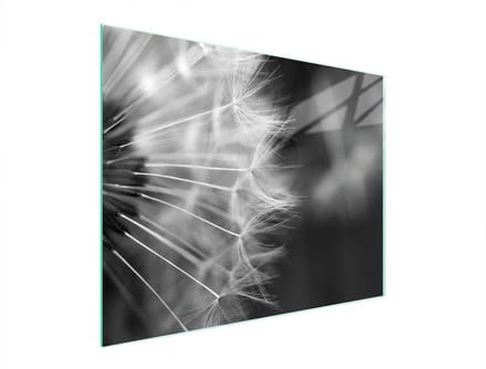 TMK ArtDeko - Snijplank - Glas - 52x40 cm - Kleurrijk