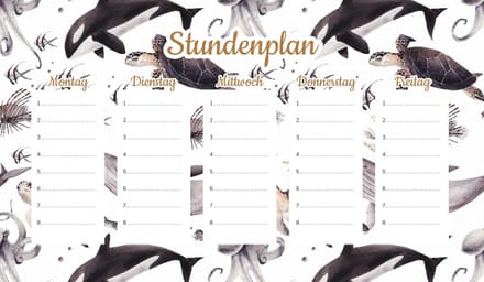 Wallvy - Magnetisch Lesplanbord - 30x17,5cm - Personaliseerbaar - Meerdere Talen - Droog Uitwisbaar