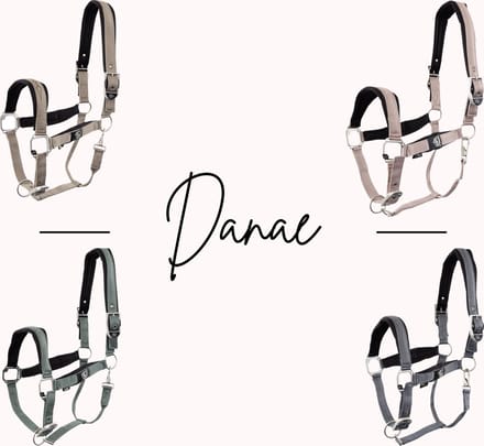 BR Halster Danae Pony Adobe Rose