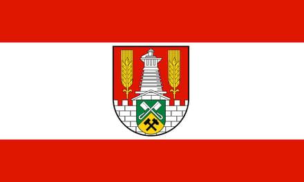 Vlag Salzgitter 100x150cm