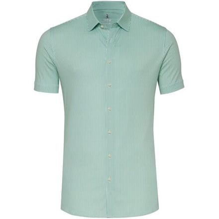 Desoto Overhemd Essential Stripe Kent Collar Groen / male