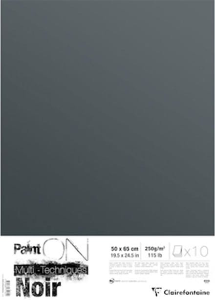 Clairefontaine PaintOn Mixed Media Papier - 250 gr - 50 x 65 cm - Zwart (losse vellen)   3329689751629   Verf