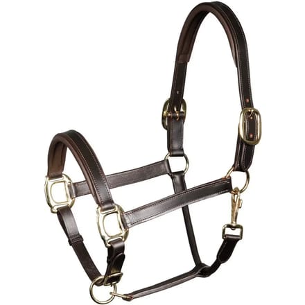 Gewatteerd lederen halster voor paarden Harry's Horse