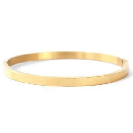 Bangle Glad Goud (RVS)