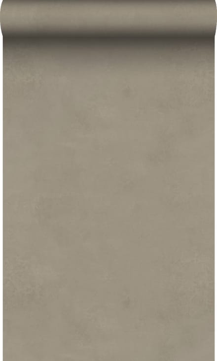 Origin Wallcoverings behang leemstuc taupe - 50 x 900 cm - 348067