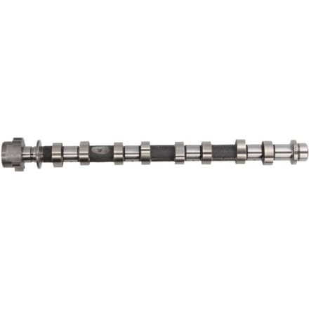 Nokkenas  AMC 647198