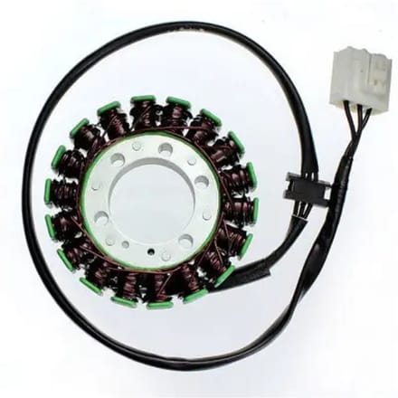 Aanpasbare dynamo Electrosport Kawasaki
