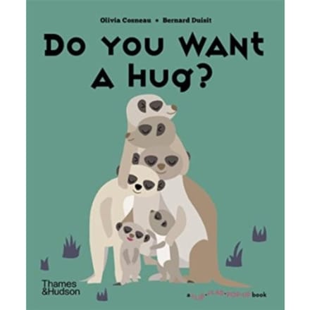 Do You Want A Hug? - A Flip Flap Pop Up Book - Olivia Cosneau
