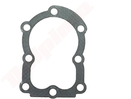 Pakkingset (10 stuks) passend op B&S ( 272167 , 27670 , 395000 )