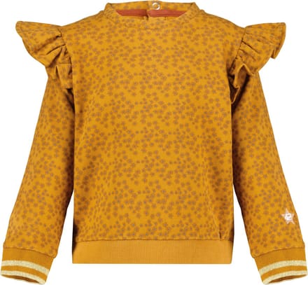 4PRESIDENT Sweater meisjes - Cathay Spice Aop - Maat 92 - Meisjes trui