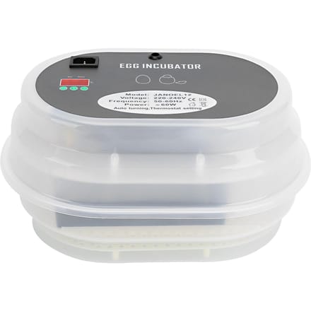 Incubateur automatique numérique pour volailles, 12 œufs, pour l'éclosion de poulets et de canards, prise britannique gray