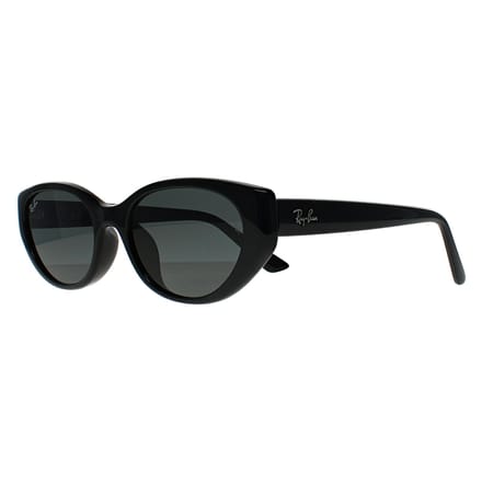 Ray-Ban RB4457D Bio Based 667787 gepolijst zwart donkergrijs zonnebril