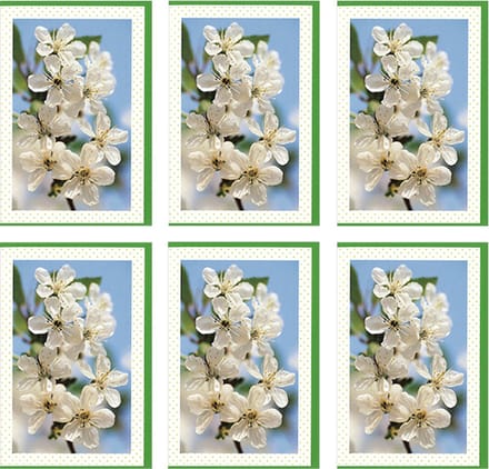 MGPcards - 6x dubbele wenskaart met envelop - Blanco - Bloemen - 11,5 x 17 cm