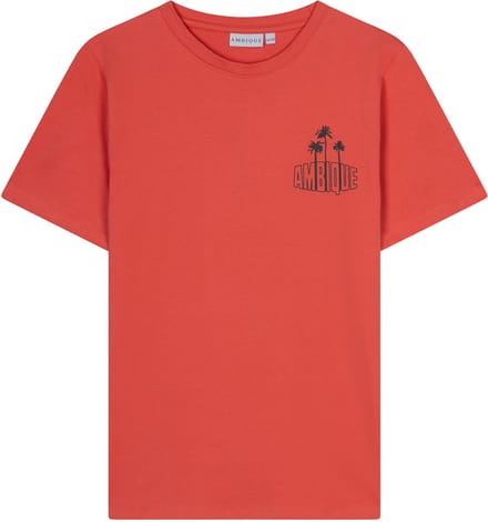 Preston - Coral - 146/152