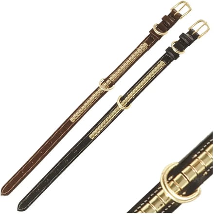 Hondenhalsband Chetak Houston