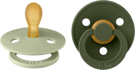 BiBs Fopspeen - Symmetrisch - 2 Stuks - 0-6 Mnd - Sage/Hunter Green