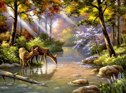 Schilderen op nummer Volwassenen Herten in de natuur - 40 x 50 centimeter - kerstcadeau