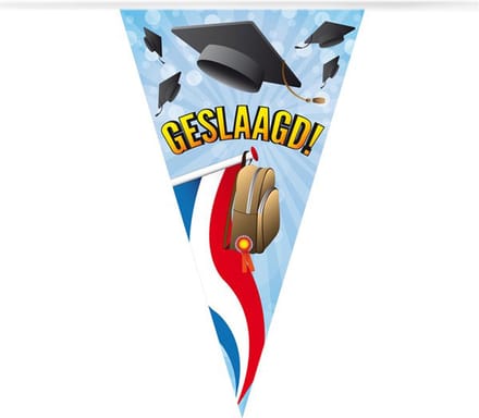 Vlaggenlijn - Vlaggetjes - Slinger - Geslaagd versiering - Afgestudeerd - Graduated - PVC - 10 meter
