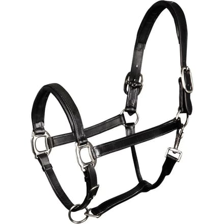Gewatteerd lederen halster voor paarden Harry's Horse