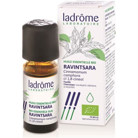 Pit&Pit - Ravintsara etherische olie bio 10 ml - Fris en kamferachtig aroma - Zuiver en onverdund