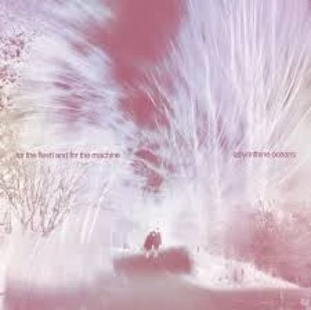 Labyrinthine Oceans - For The Flesh And For The Machine (CD)