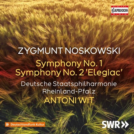 Deutsche Staatsphilharmonie Rheinland-Pfalz, Antoni Wit - Symphony No. 2 Elegiac - Symphony No. 1 (CD)