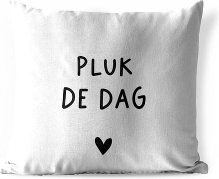 Tuinkussen - Spreuken - Quotes - Pluk de dag - Carpe diem - 40x40 cm - Weerbestendig