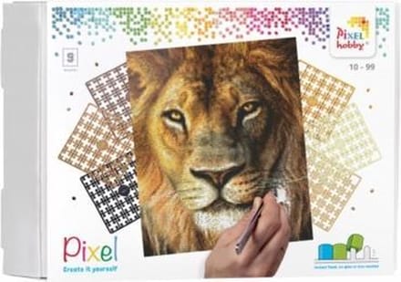 Pixelhobby Geschenkverpakking Leeuw 90046